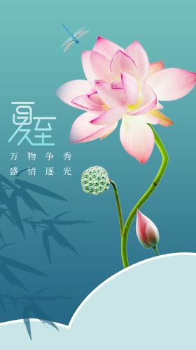 夏至节气活动