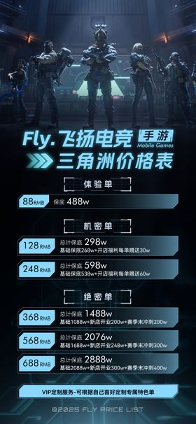 三角洲游戏价格表套餐海报