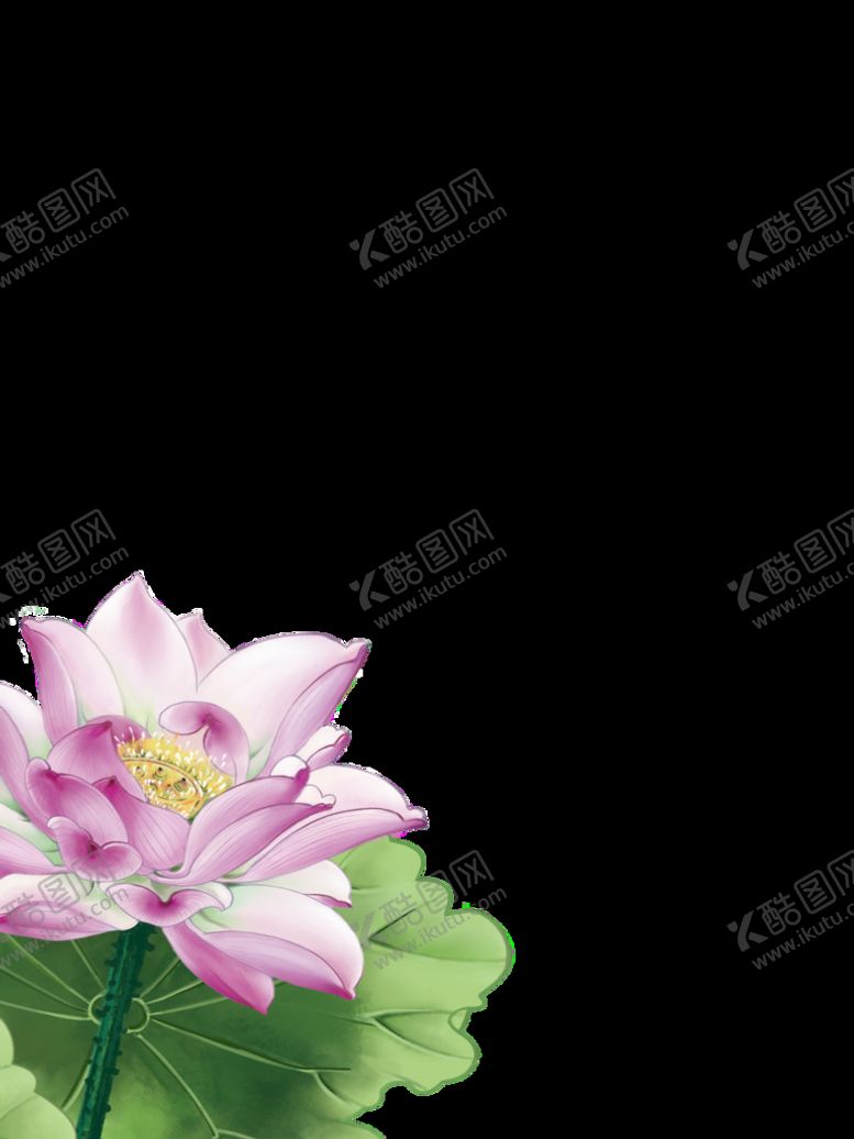 编号：67128309150232551962【酷图网】源文件下载-荷花