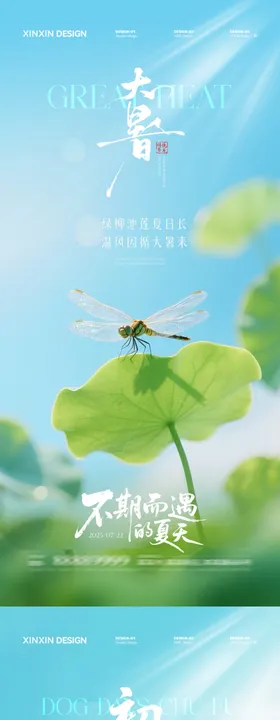 地产大暑初伏锦鲤中式插画海报