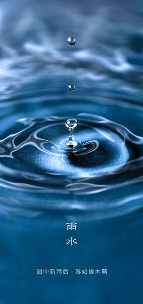 雨水雨水海报雨水节气