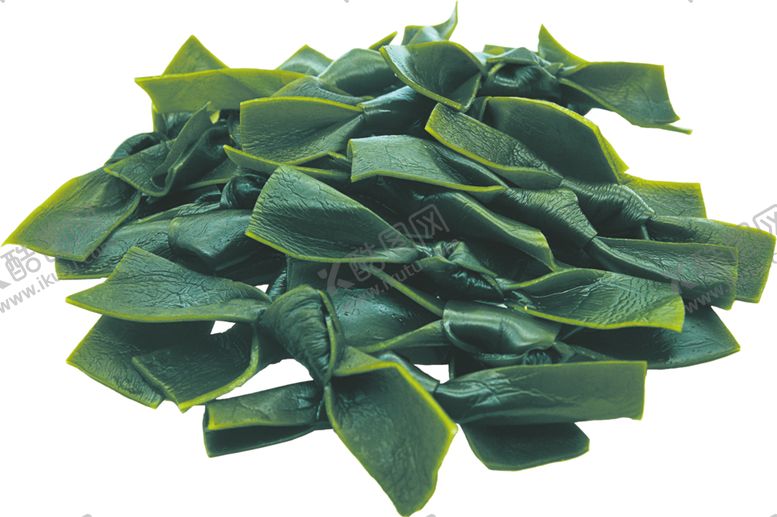 编号：46182009210409473963【酷图网】源文件下载-海带结