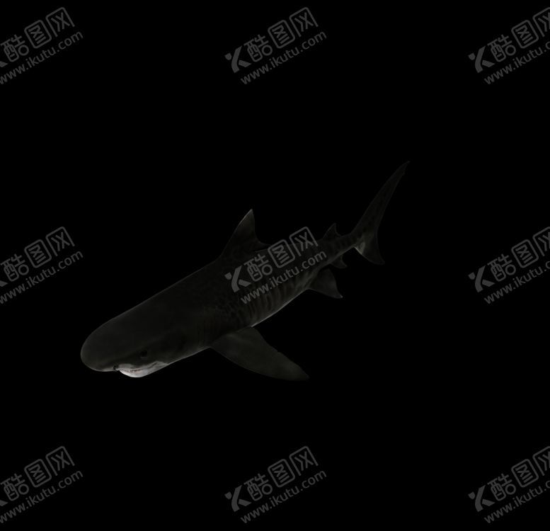编号：63616307070653414948【酷图网】源文件下载-海洋生物