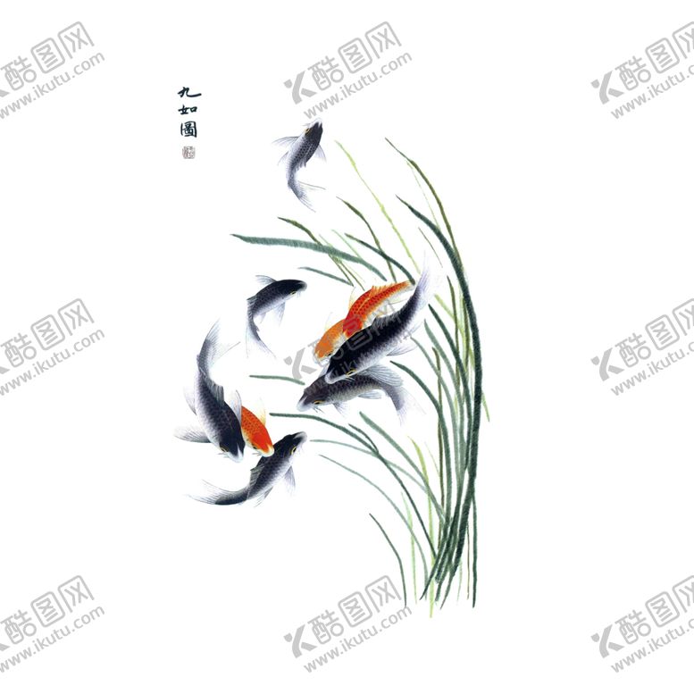 编号：82876207040847411580【酷图网】源文件下载-牡丹花