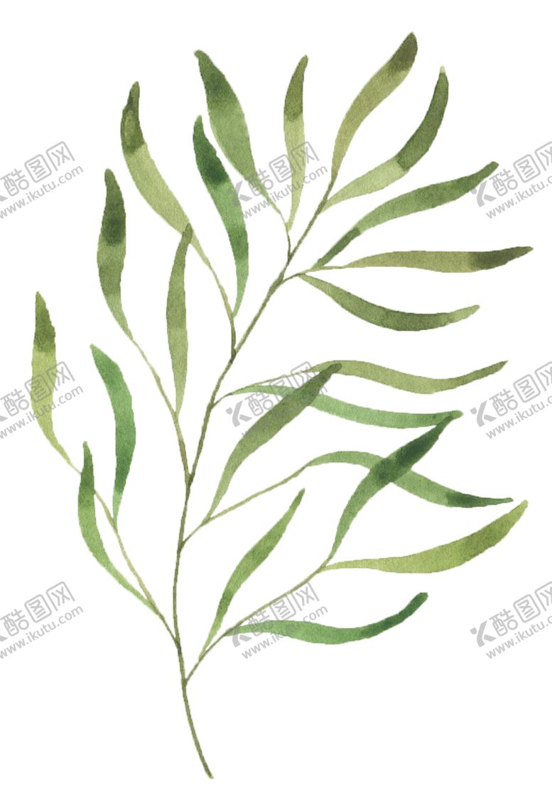 编号：81549409242254434351【酷图网】源文件下载-手绘植物花卉