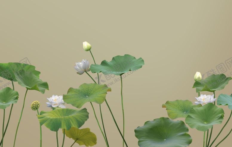 编号：80043610040634241910【酷图网】源文件下载-高清水彩画