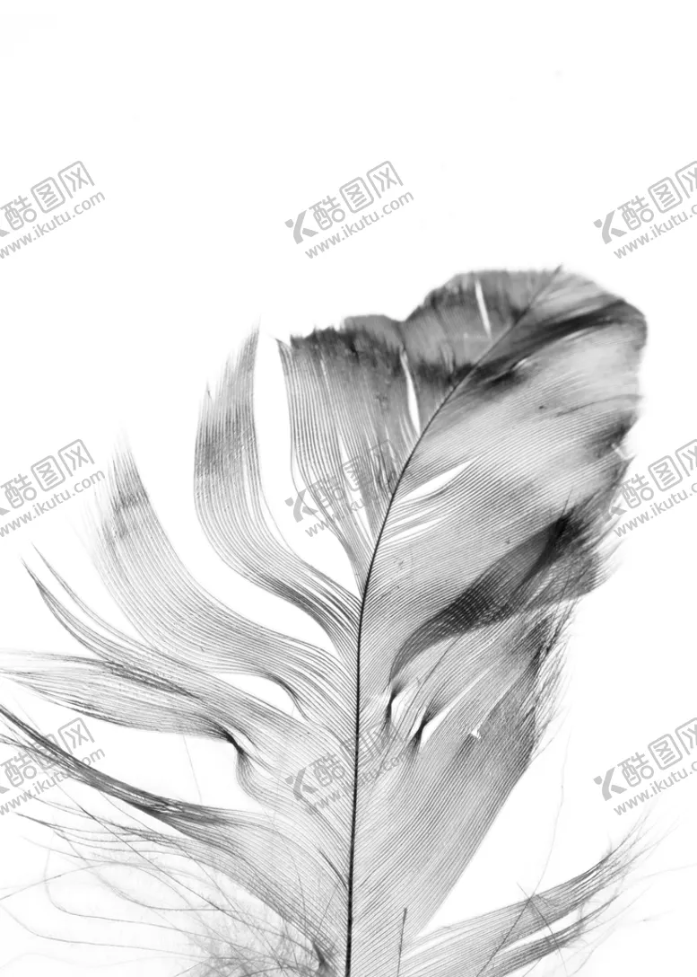 编号：22426110302328143253【酷图网】源文件下载-北欧装饰画