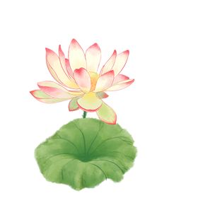 荷花元素