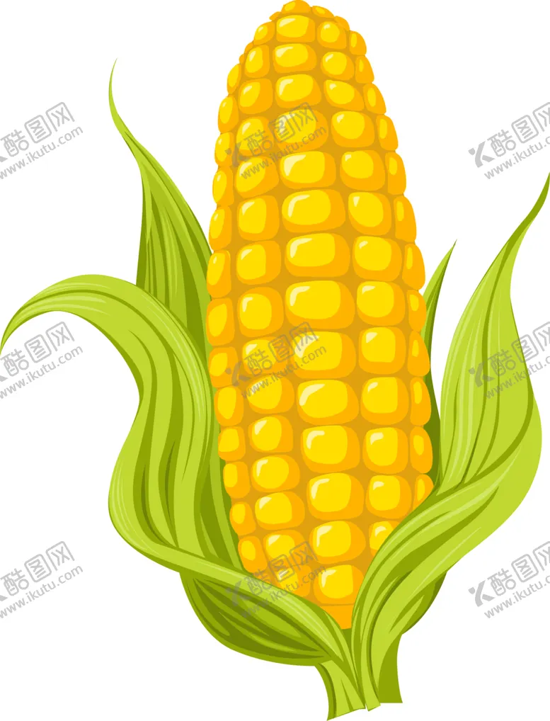 编号：64326601150816234421【酷图网】源文件下载-玉米图片
