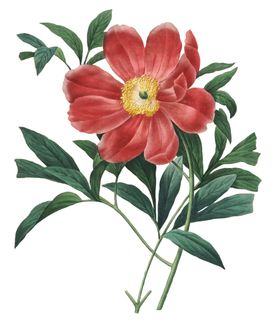 复古花
