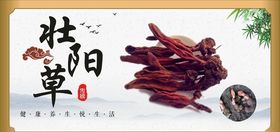 壮阳草草苁蓉中药材海报