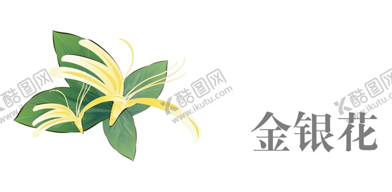 编号：24844804281052409879【酷图网】源文件下载-草本植物药材
