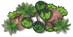 植物顶视图