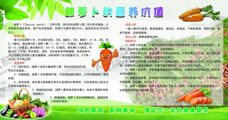 编号：69241310091939477013【酷图网】源文件下载-胡萝卜的营养价值