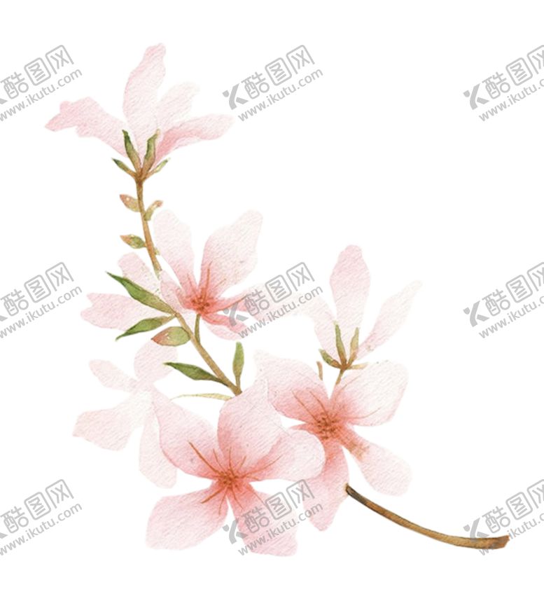 编号：48939209200408562437【酷图网】源文件下载-粉色花