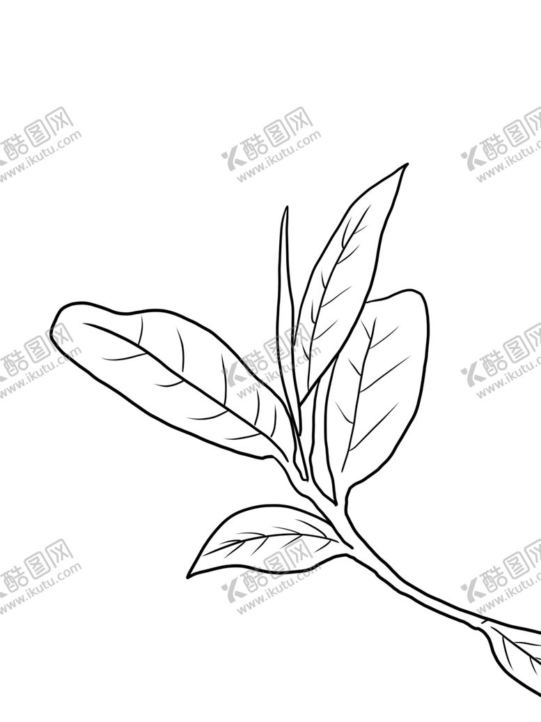 编号：43811207141321348078【酷图网】源文件下载-茶叶