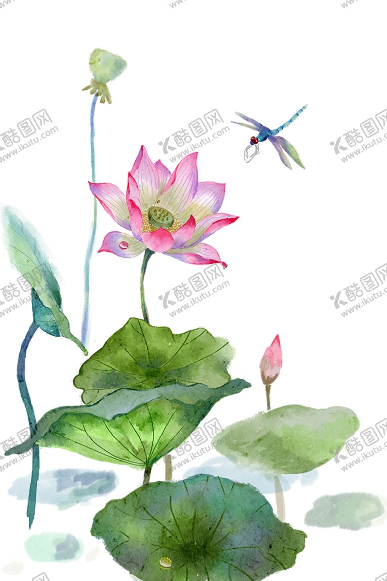 编号：57798204200953039726【酷图网】源文件下载-手绘荷花蜻蜓