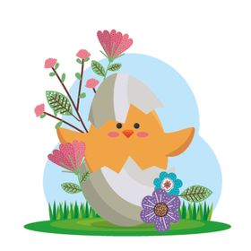可爱兔子