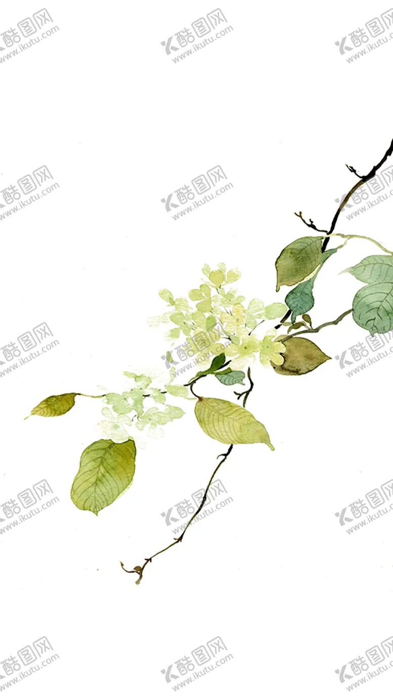 编号：50514109112052232151【酷图网】源文件下载-绿色背景