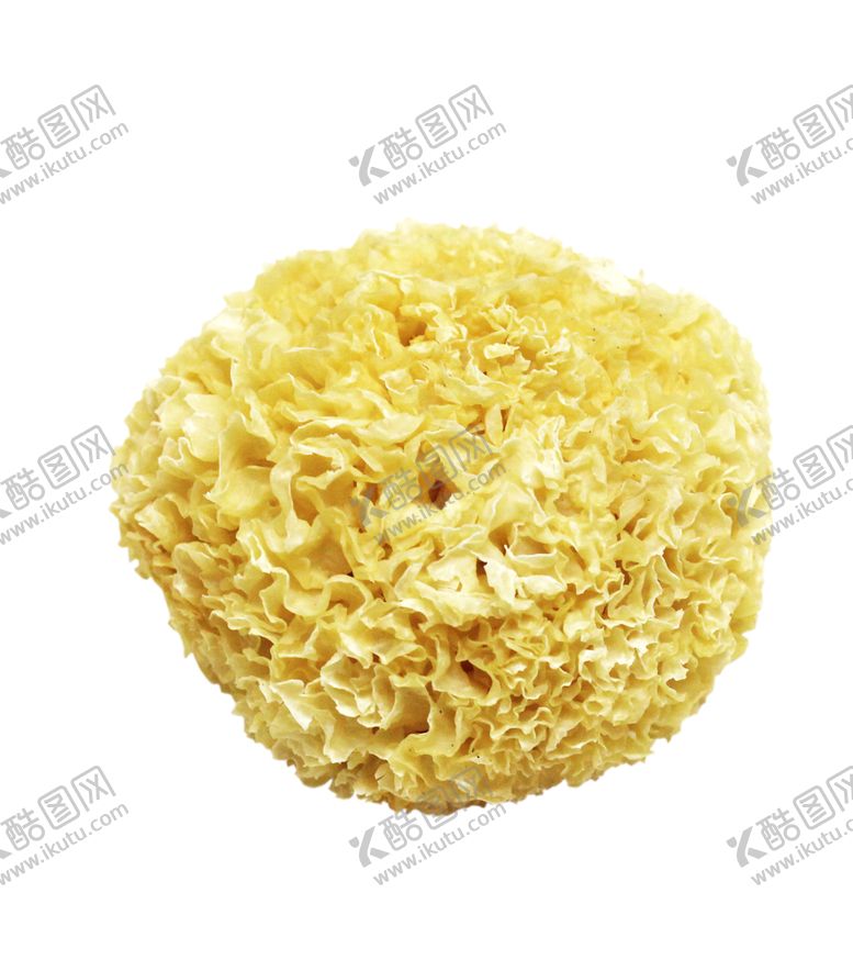 编号：97708006281643336155【酷图网】源文件下载-免扣黄银耳