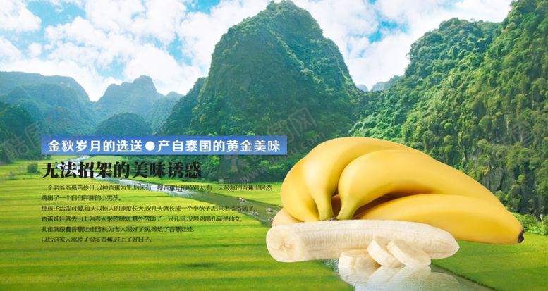 编号：87505107041517571129【酷图网】源文件下载-水果海报