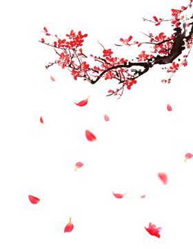 飘落的花瓣