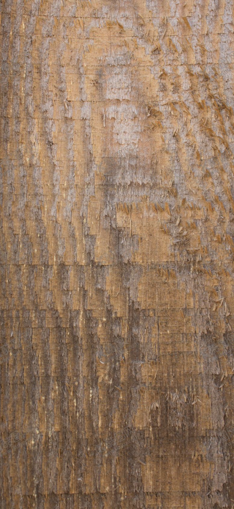 编号：27478309130423506972【酷图网】源文件下载-树皮