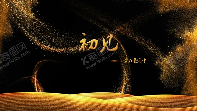 编号：46215906290132013039【酷图网】源文件下载-黑金背景