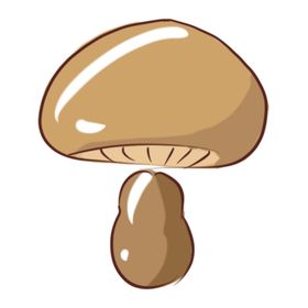 香菇