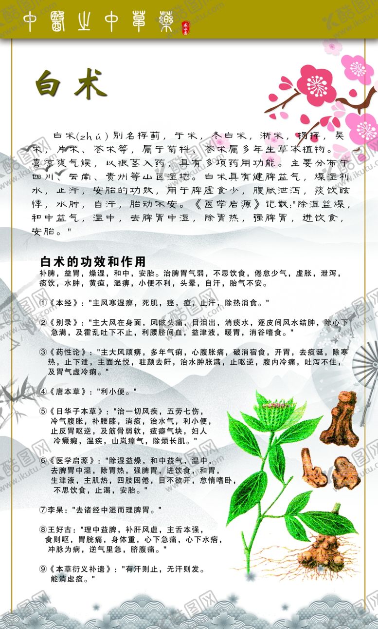 编号：23018512061837225237【酷图网】源文件下载-中草药海报