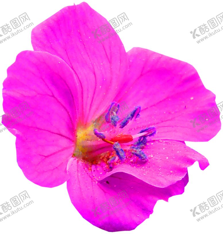 编号：11188909292215107731【酷图网】源文件下载-浪漫素材