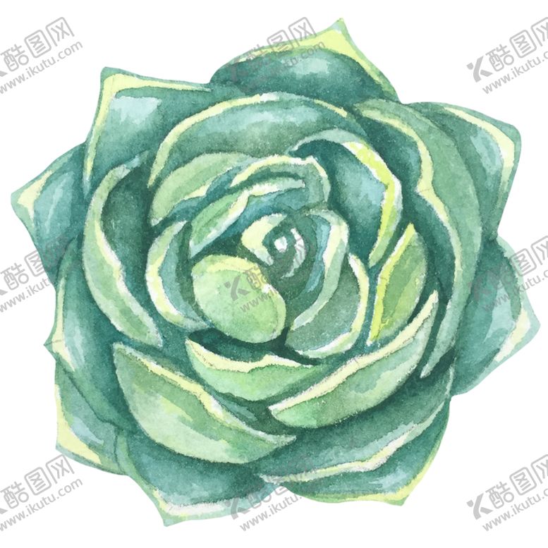 编号：39308409281432236153【酷图网】源文件下载-手绘植物