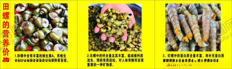 编号：32370901131314025432【酷图网】源文件下载-田螺美食招贴