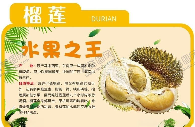 编号：77699907010758231208【酷图网】源文件下载-榴莲