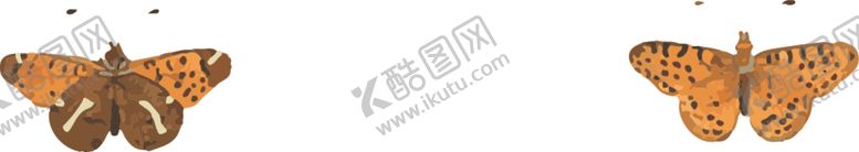 编号：96407810311837335988【酷图网】源文件下载-蝴蝶昆虫插画