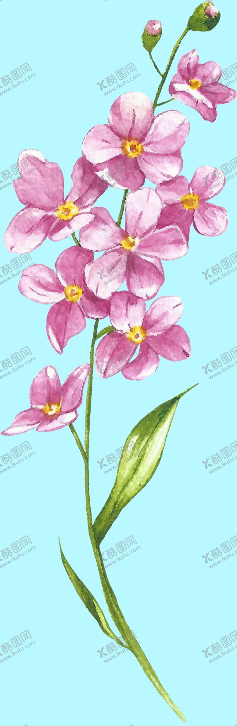 编号：31534609201350428684【酷图网】源文件下载-花卉树叶