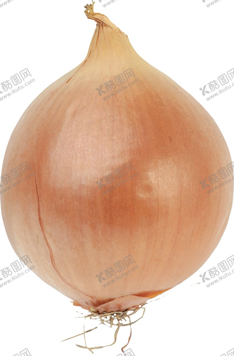 编号：72152306271317421822【酷图网】源文件下载-洋葱