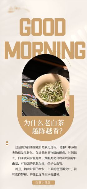 白茶日签小知识系列