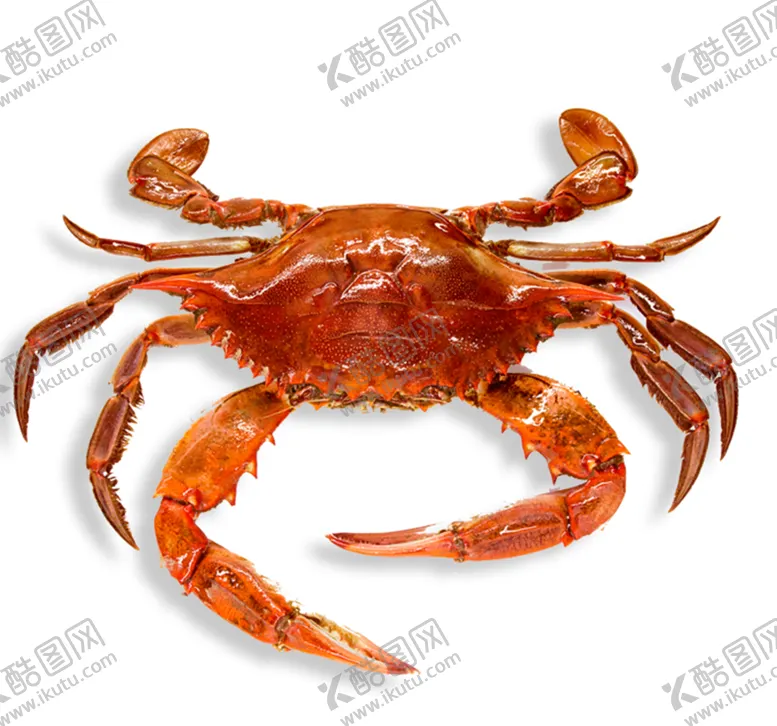 编号：57695504301742326775【酷图网】源文件下载-螃蟹