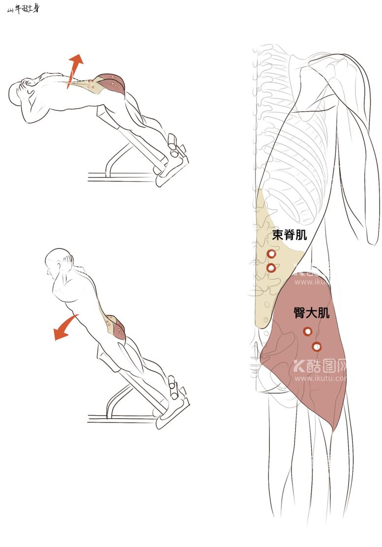 编号：44959312090957129331【酷图网】源文件下载-山羊挺身