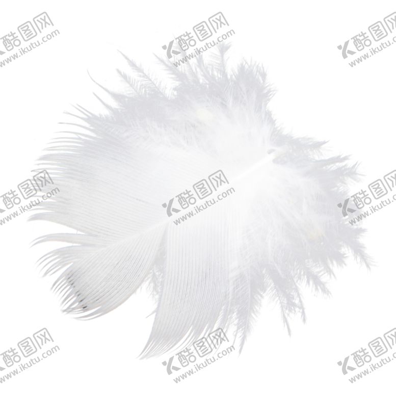 编号：35143610150643508221【酷图网】源文件下载-白色羽毛漂浮素材