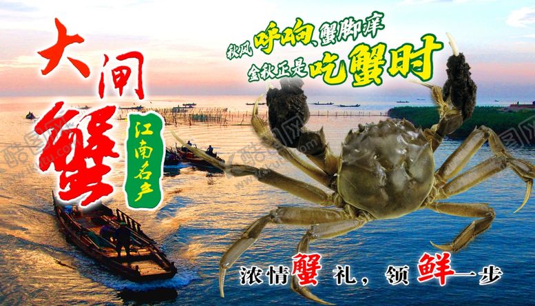 编号：62368507042231321020【酷图网】源文件下载-大闸蟹