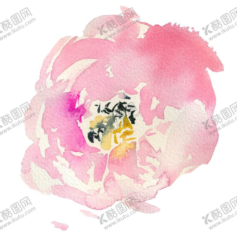 编号：20927709190246131399【酷图网】源文件下载-植物手绘水彩