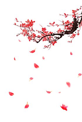 飘落的花瓣