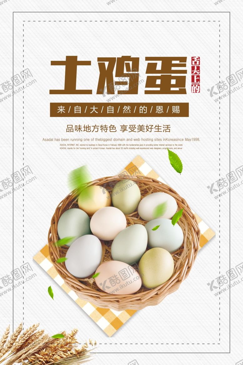 编号：72837304191500268253【酷图网】源文件下载-土鸡蛋海报