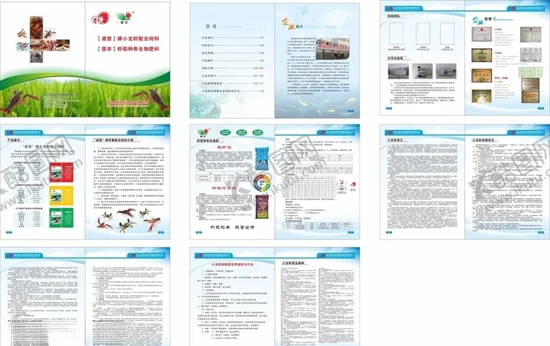 编号：19875707020712519947【酷图网】源文件下载-龙虾饲料宣传册
