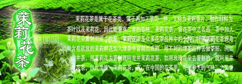 编号：97004012241605495376【酷图网】源文件下载-茉莉花茶的介绍