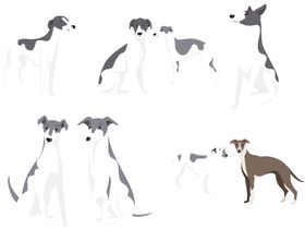 卡通狗宠物犬类可爱小
