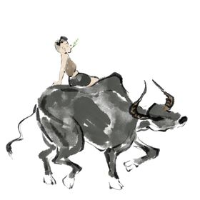 清明节放牛素材