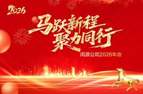 马跃新程聚力同行海报